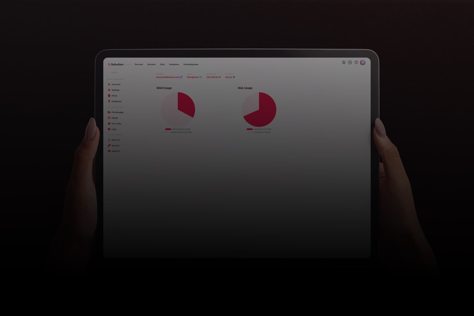 The Suburban Cloud console showing a server overview